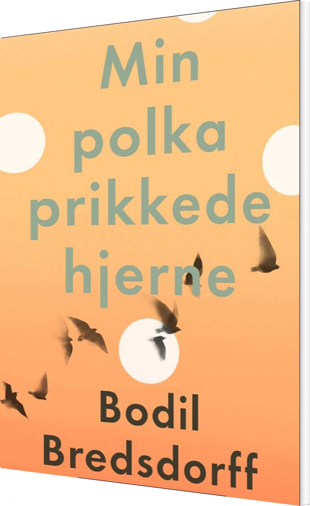 Billede af Min Polkaprikkede Hjerne - Bodil Bredsdorff - Bog