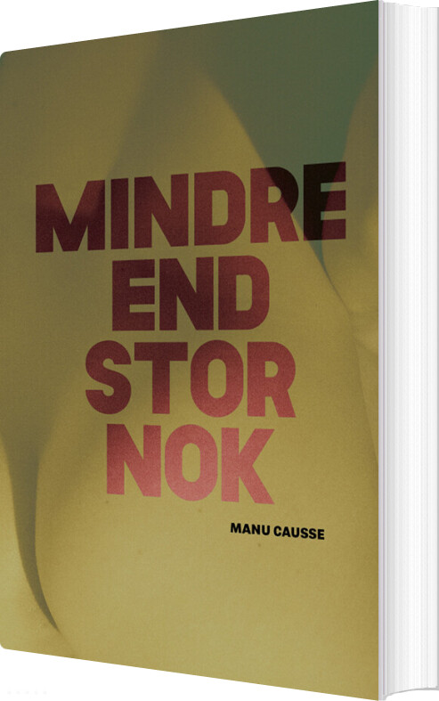 Mindre End Stor Nok - Manu Causse - Bog