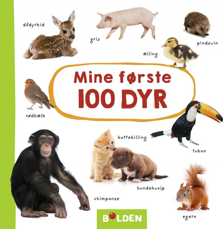 Mine Første 100 Dyr - Diverse - Bog