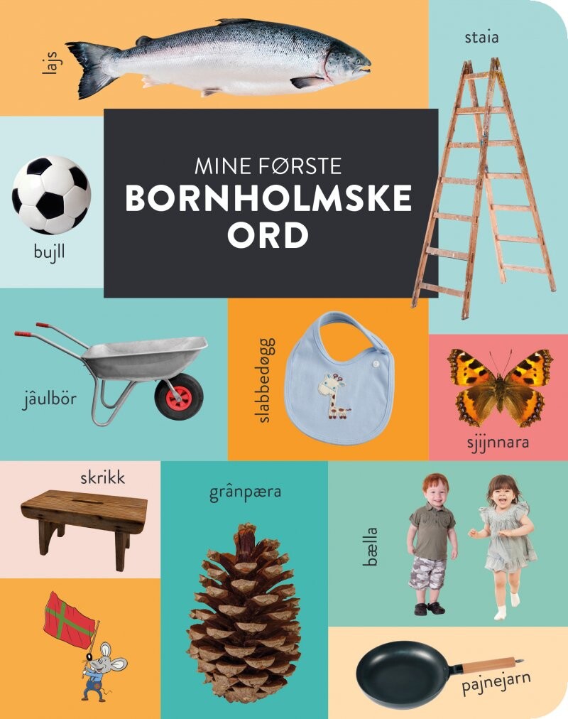 Billede af Mine Første Bornholmske Ord - Pernille Boelskov - Bog