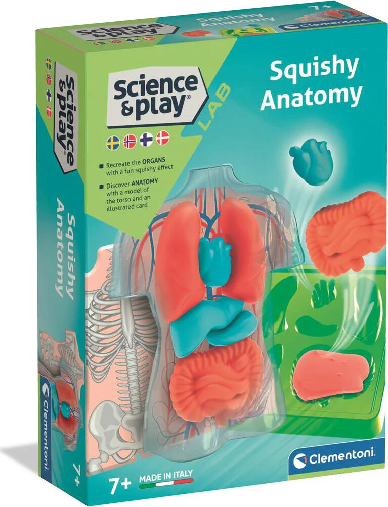 Clementoni Science & Play Lab - Squishy Anatomi Legesæt