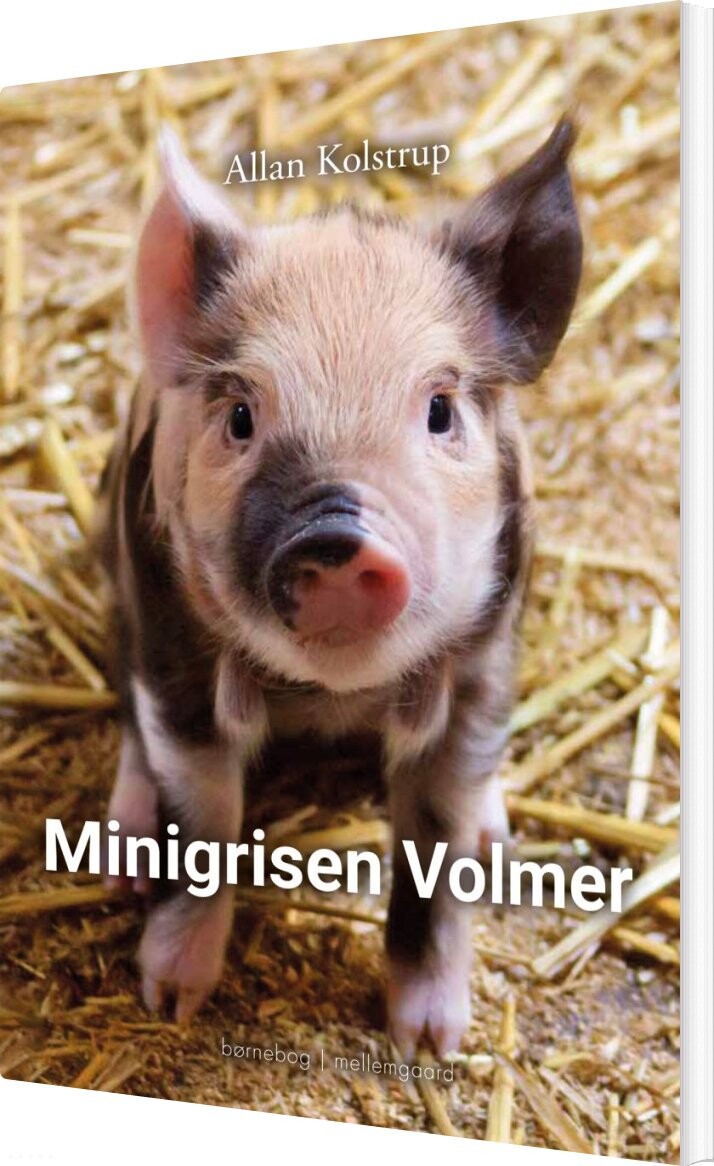 Billede af Minigrisen Volmer - Allan Kolstrup - Bog hos Gucca.dk