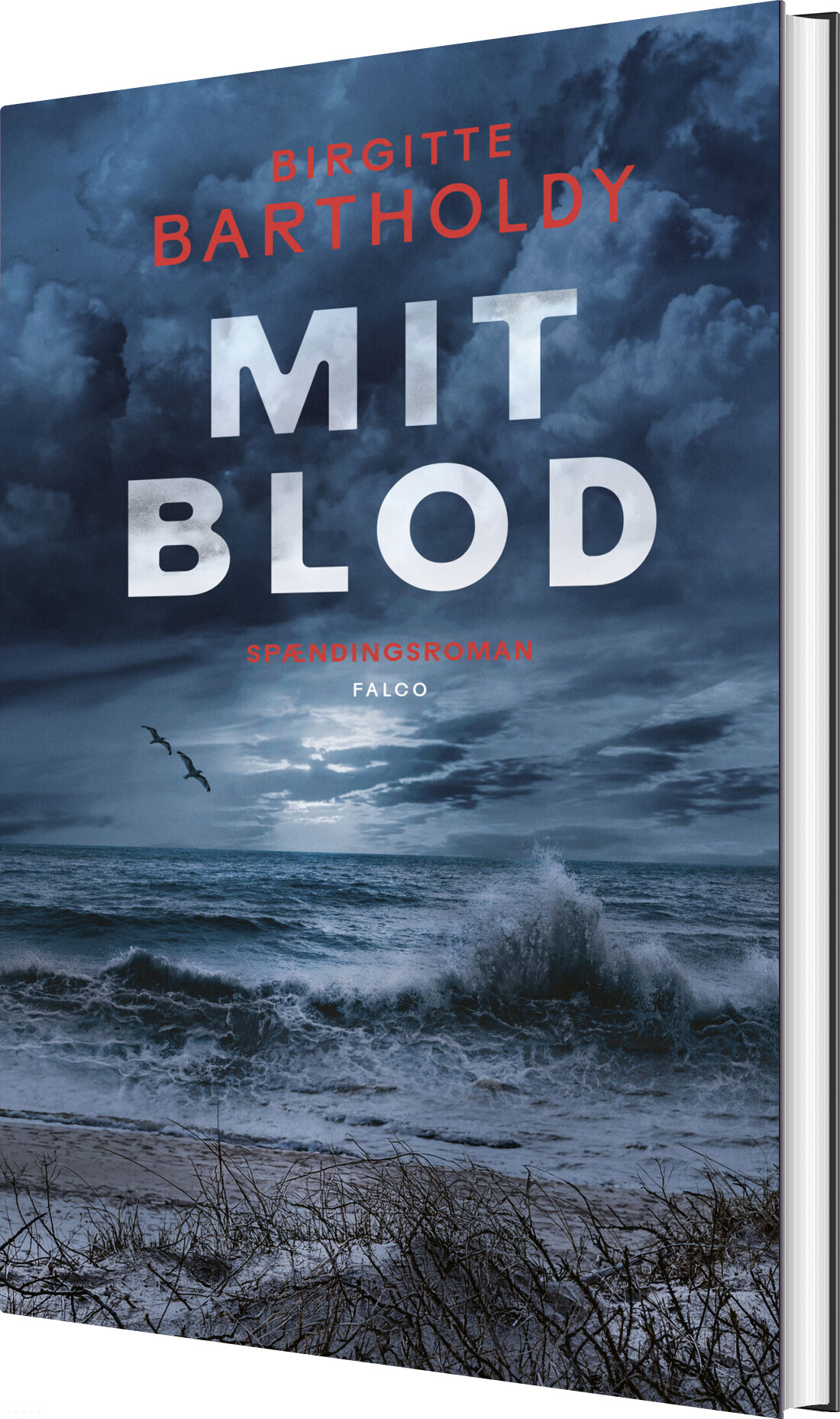 Mit Blod - Birgitte Bartholdy - Bog