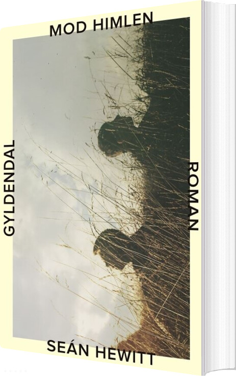 Mod Himlen - Seán Hewitt - Bog