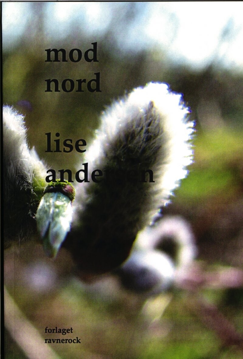 Billede af Mod Nord - Lise Andersen - Bog