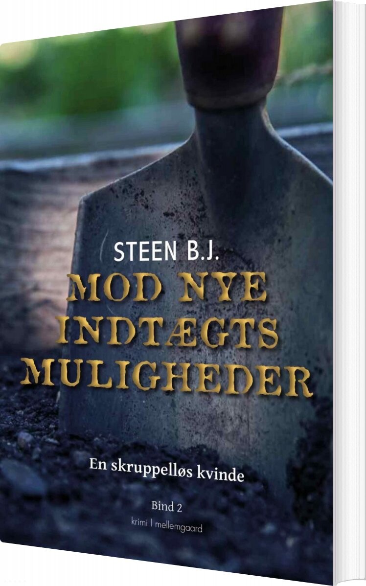 Mod Nye Indtægtsmuligheder - Steen B.j - Bog