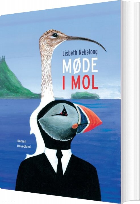Billede af Møde I Mol - Lisbeth Nebelong - Bog