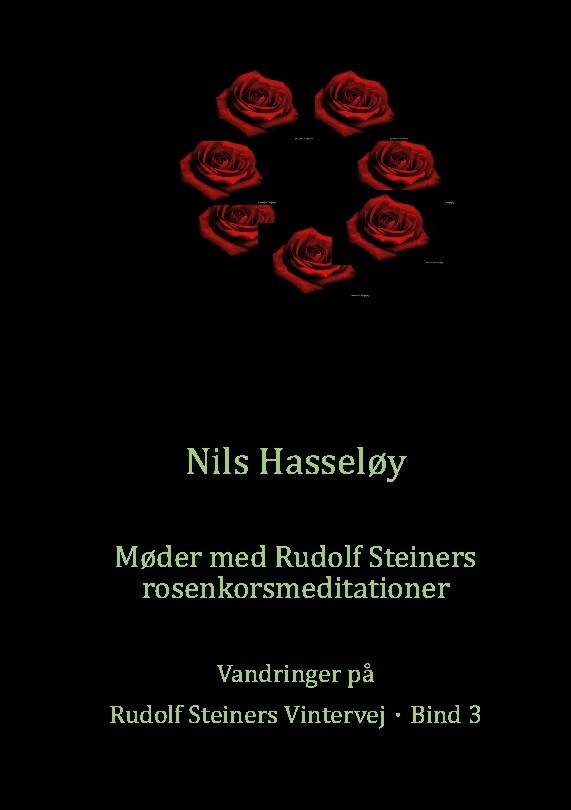 Møder Med Rudolf Steiners Rosenkorsmeditationer - Nils Hasseløy - Bog