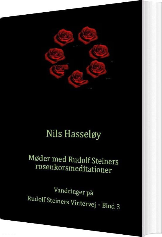Møder Med Rudolf Steiners Rosenkorsmeditationer - Nils Hasseløy - Bog