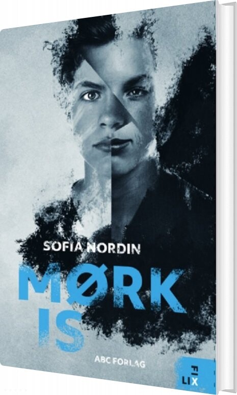 Mørk Is - Sofia Nordin - Bog