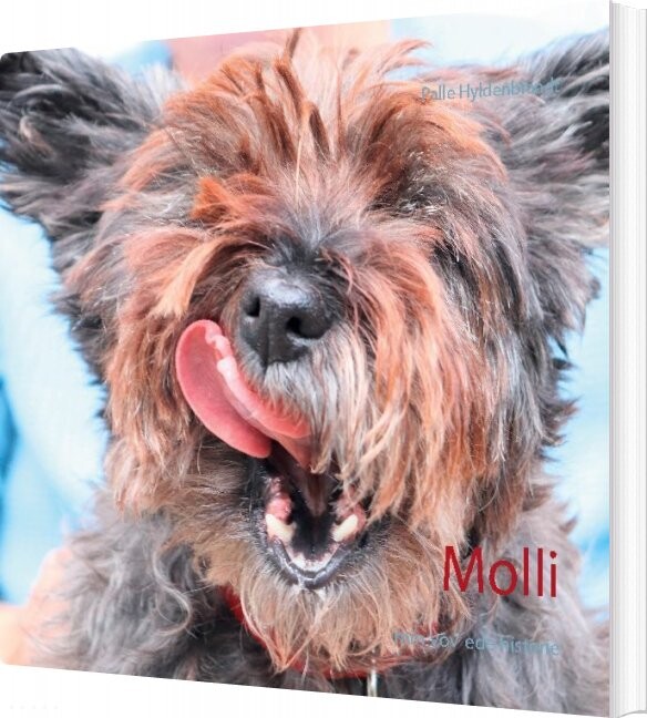 Molli - Palle Hyldenbrandt - Bog