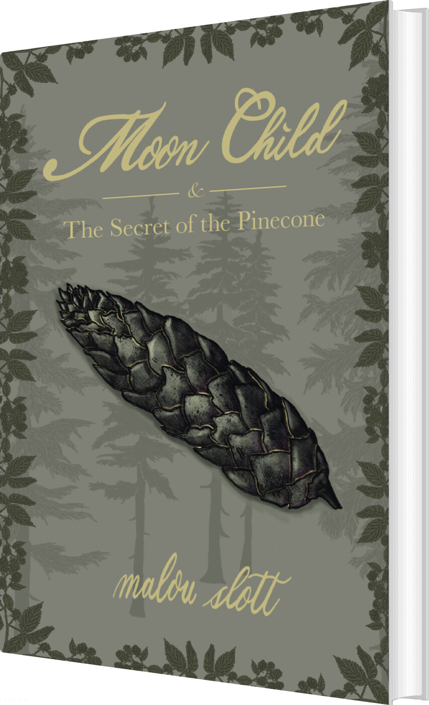 Moon Child & The Secret Of The Pinecone - Malou Slott - English Book