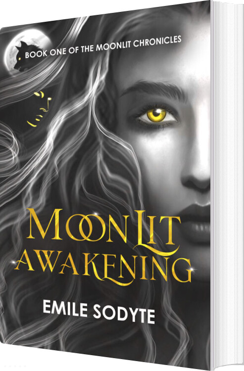 Moonlit Awakening - Emile Sodyte - English Book