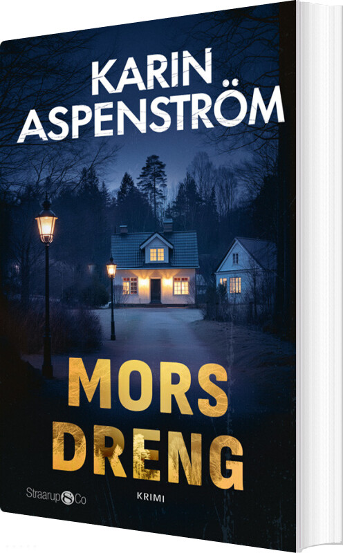 Mors Dreng - Karin Aspenström - Bog