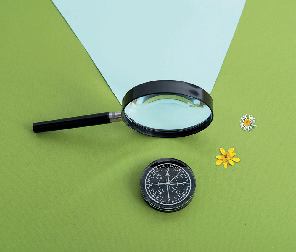 Moulin Roty - Forstørrelsesglas