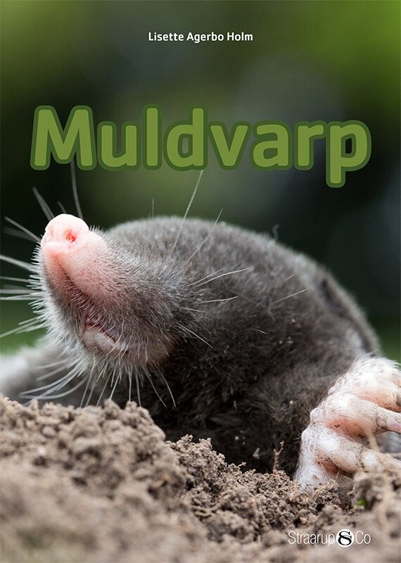 Muldvarp - Lisette Agerbo Holm - Bog - Straarup & Co