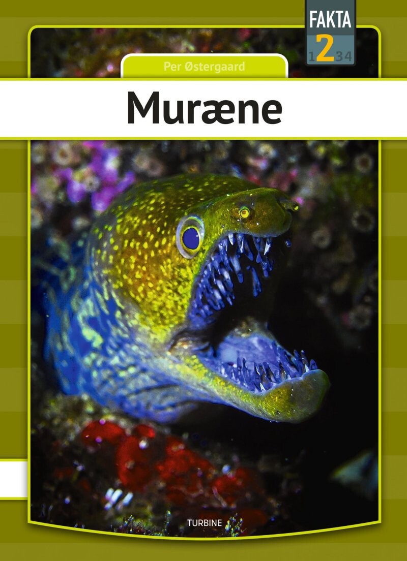 Muræne - Per østergaard - Bog