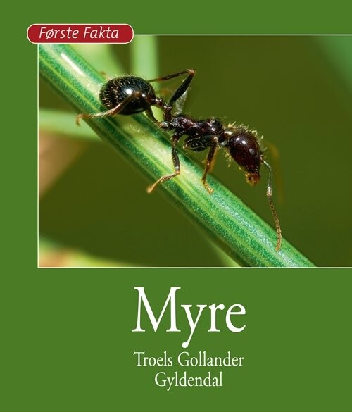 Myre - Troels Gollander - Bog