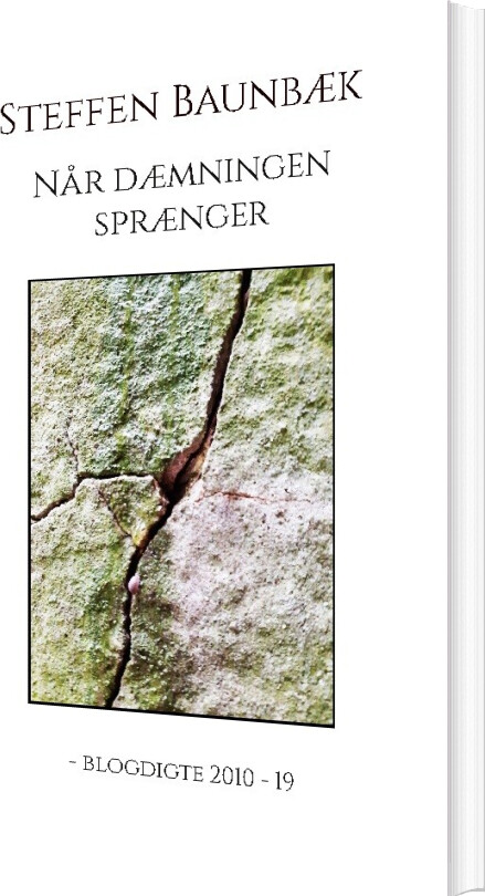 Når Dæmningen Sprænger - Steffen Baunbæk - Bog