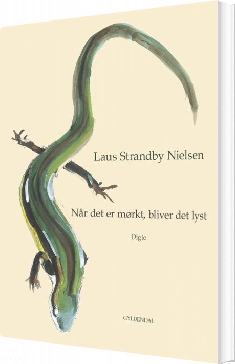Billede af Når Det Er Mørkt, Bliver Det Lyst - Laus Strandby Nielsen - Bog