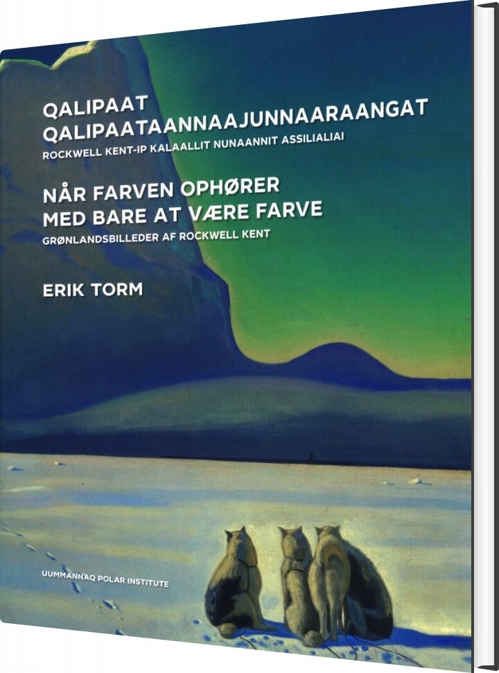 Når Farven Ophører Med Bare At Være Farve - Erik Torm - Bog