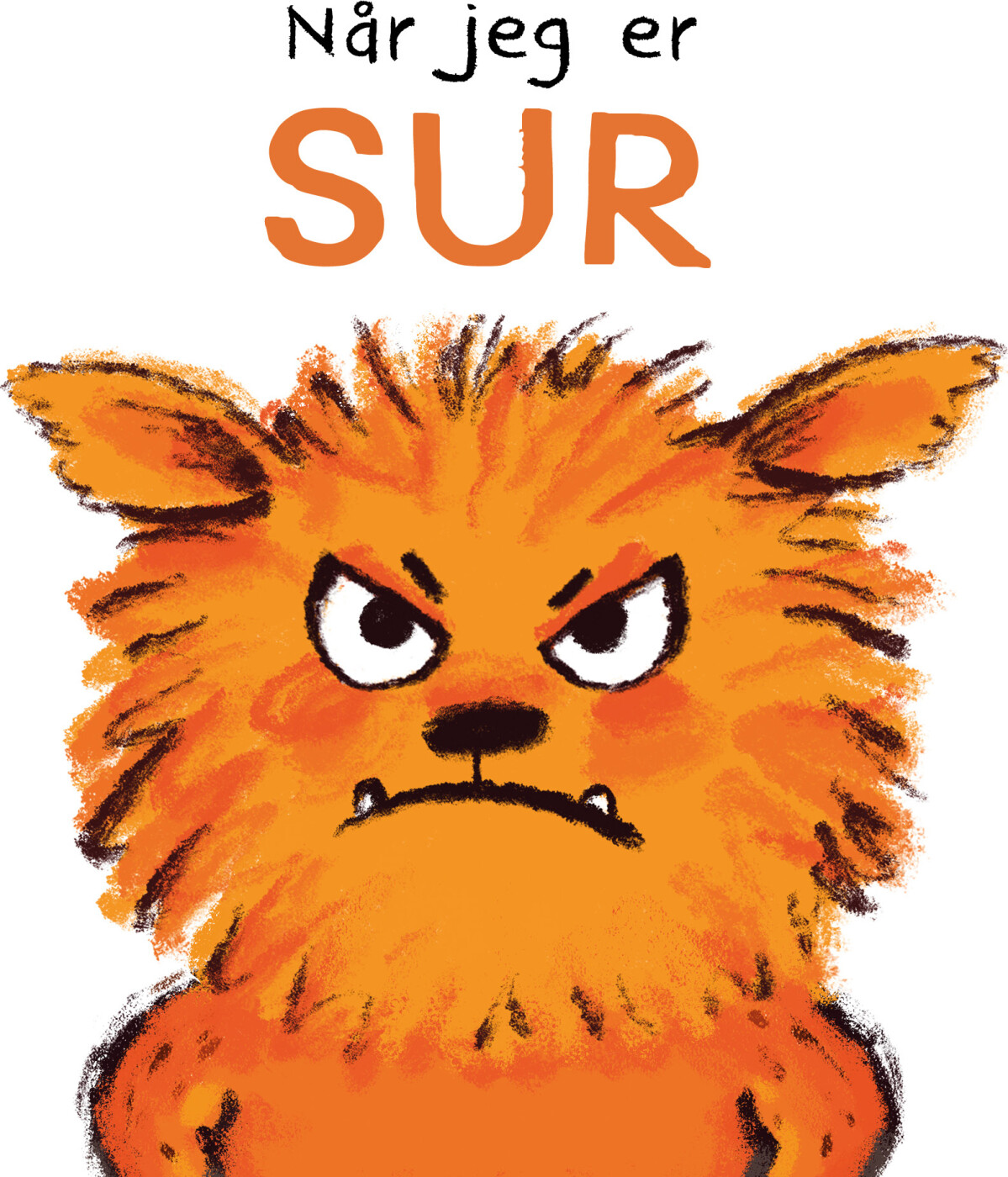 Når Jeg Er Sur - Bog