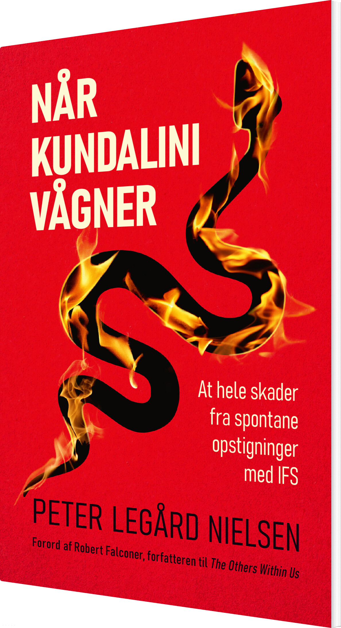 Billede af Når Kundalini Vågner - Peter Legård Nielsen - Bog