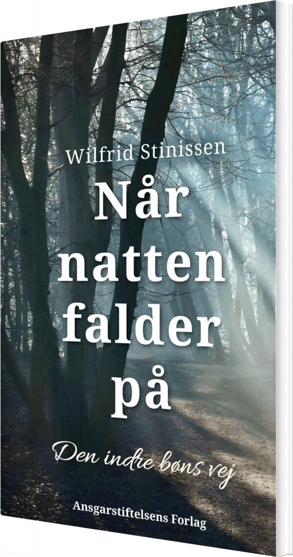 Billede af Når Natten Falder På - Wilfrid Stinissen - Bog