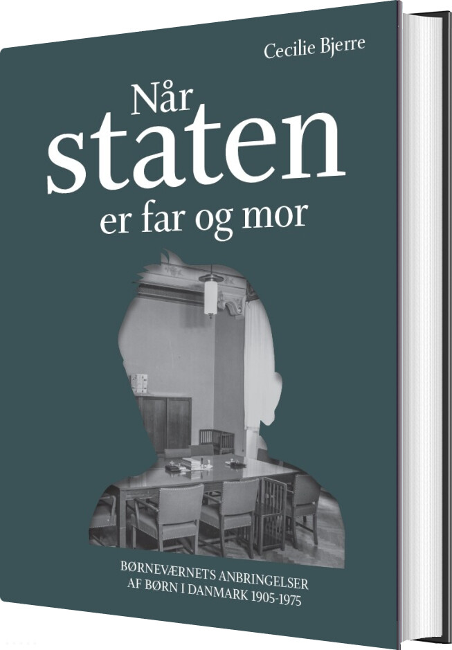 Når Staten Er Far Og Mor - Cecilie Bjerre - Bog