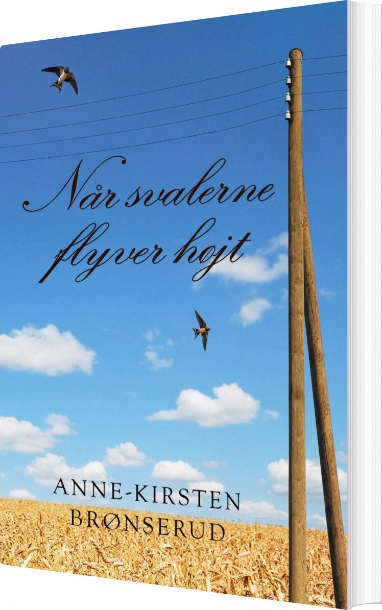 Billede af Når Svalerne Flyver Højt - Anne-kirsten Brønserud - Bog