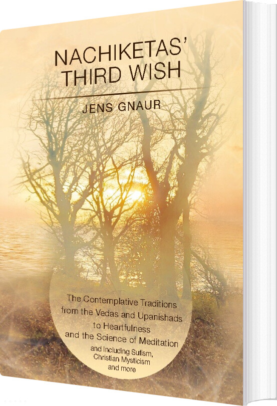 Billede af Nachiketas Third Wish - Jens Gnaur - English Book