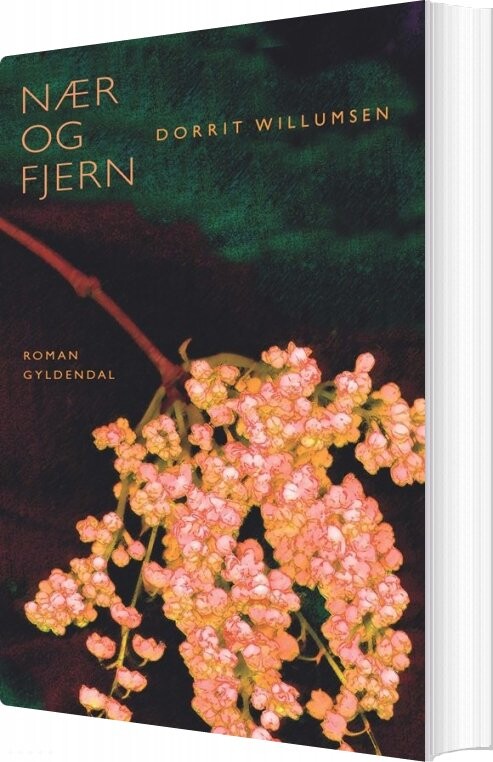 Billede af Nær Og Fjern - Dorrit Willumsen - Bog