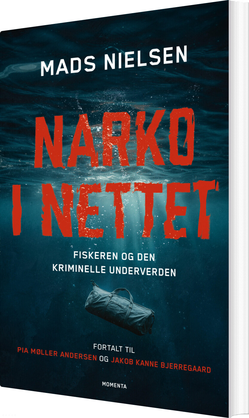 Narko I Nettet - Mads Nielsen - Bog