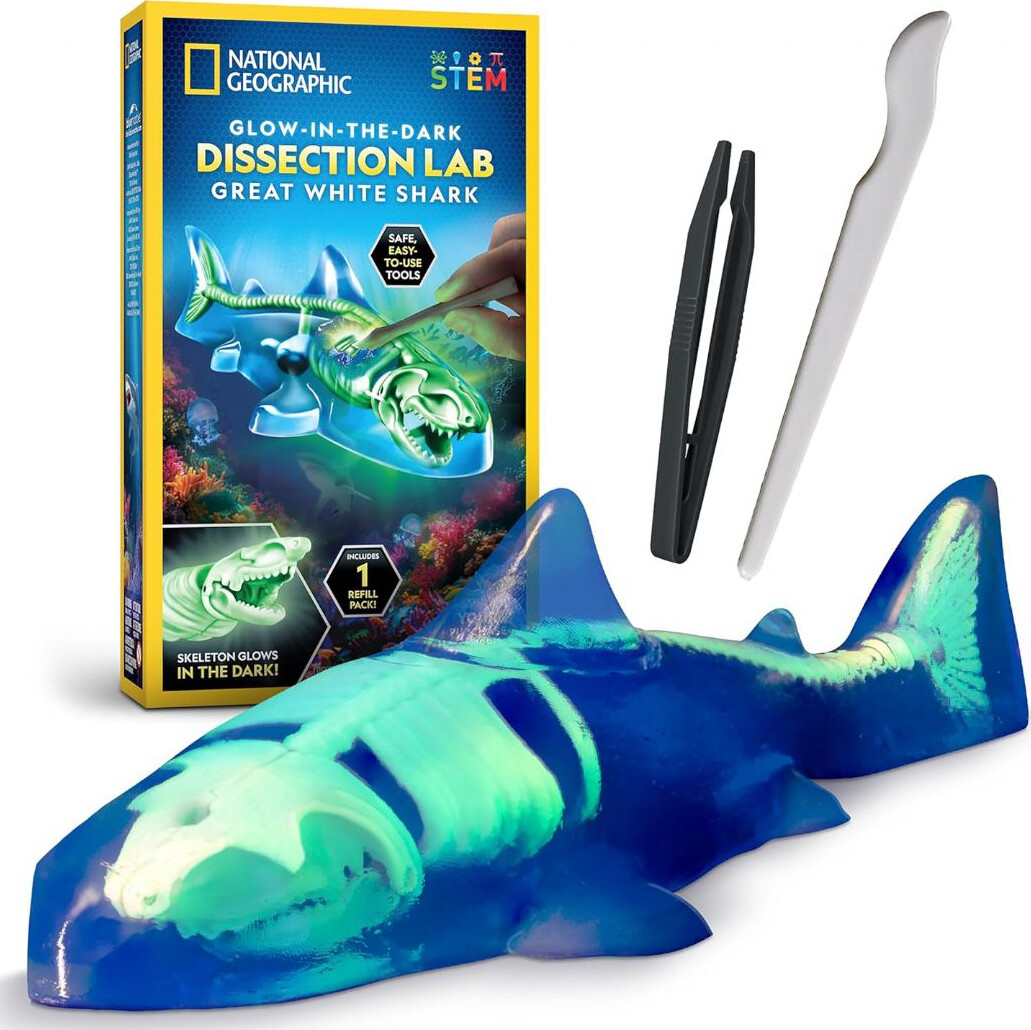 National Geographic - Glow-in-the-dark Dissection Lab - Shark