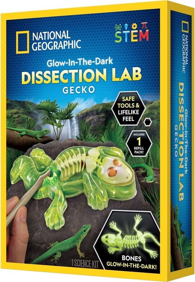National Geographic - Lab M Gekko-dissektion