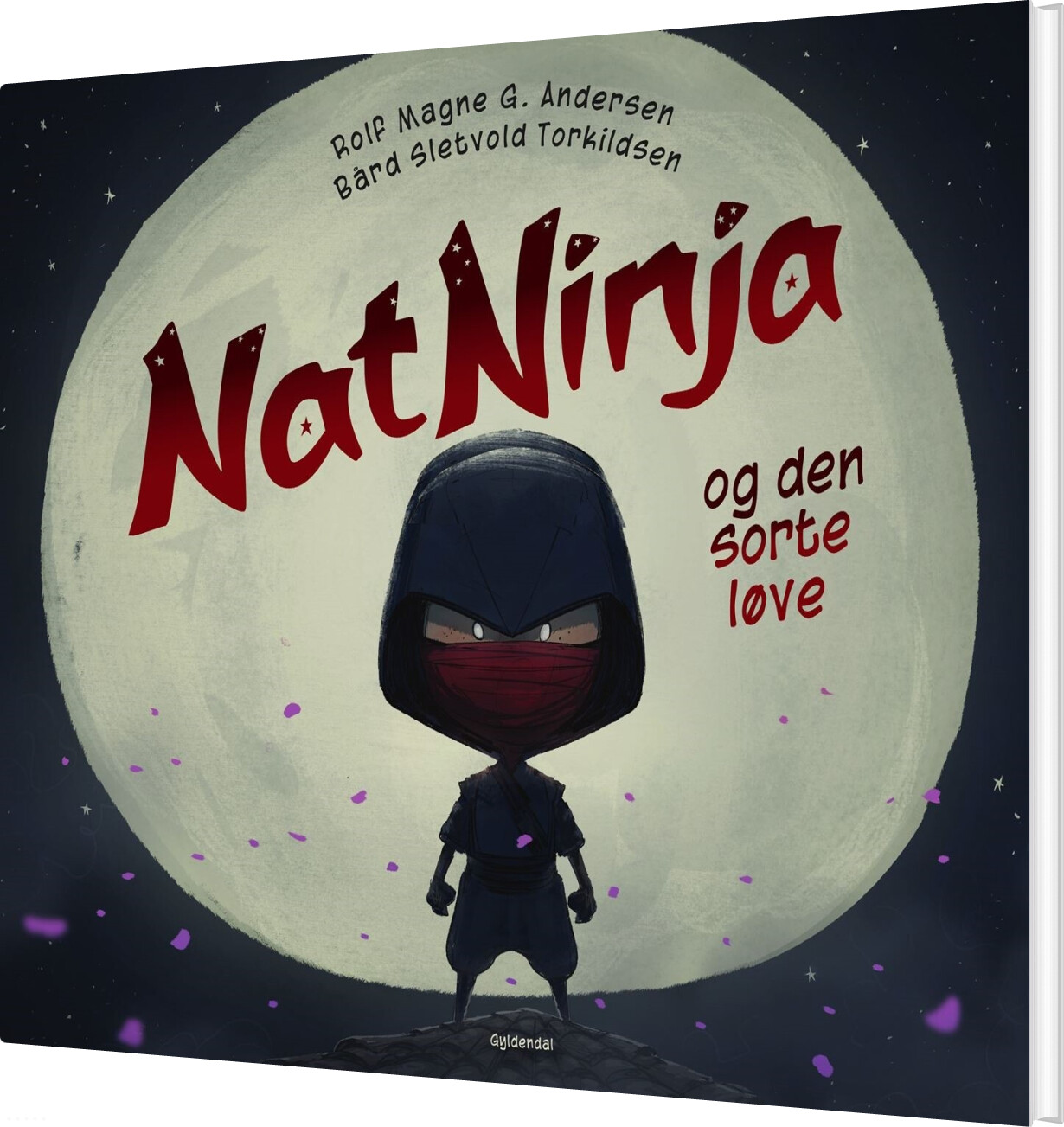 Natninja - Rolf Magne G. Andersen - Bog