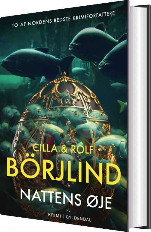 Nattens øje - Cilla & Rolf Börjlind - Bog