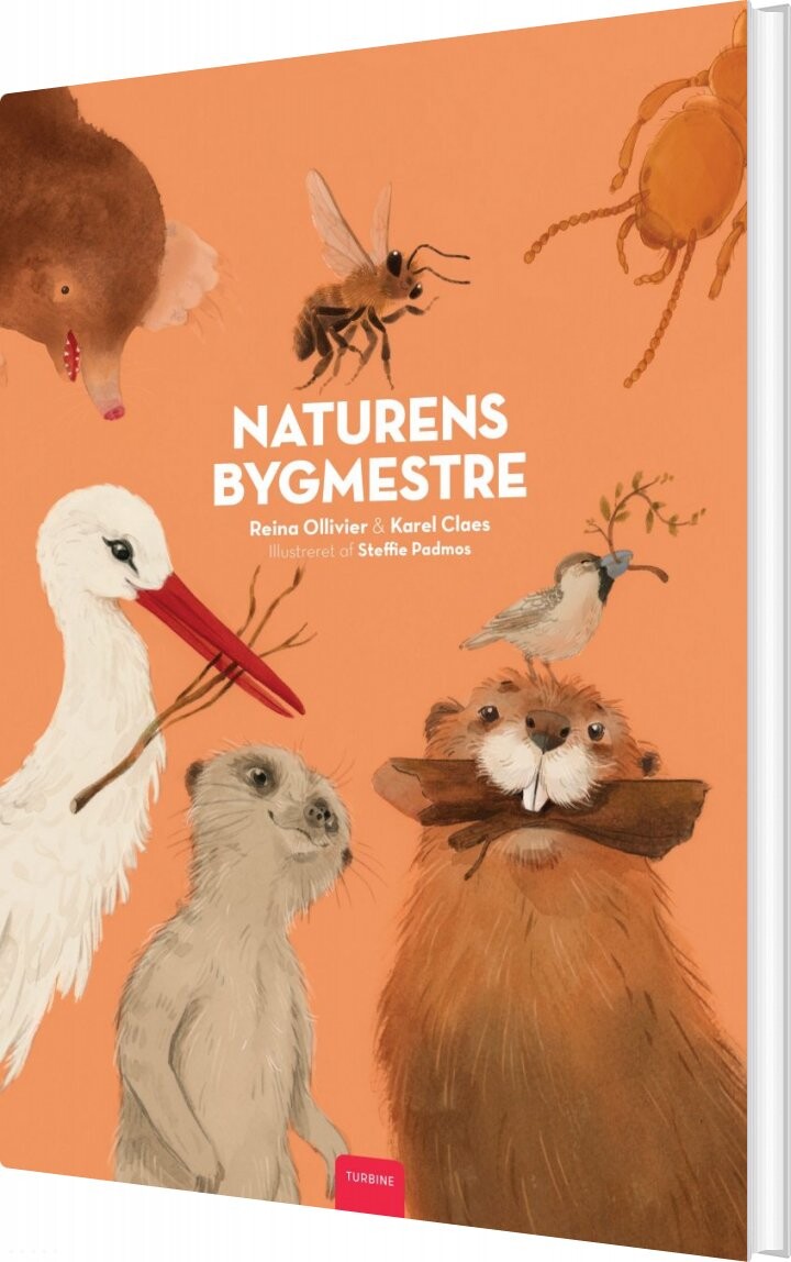 Naturens Bygmestre - Reina Ollivier - Bog