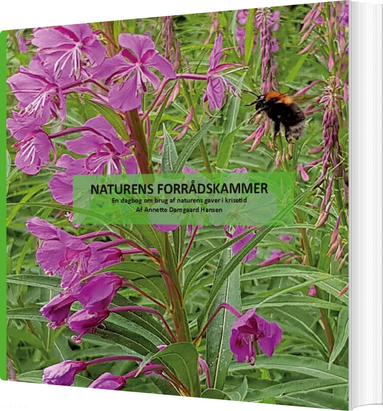 Naturens Forrådskammer - Annette Damgaard Hansen - Bog