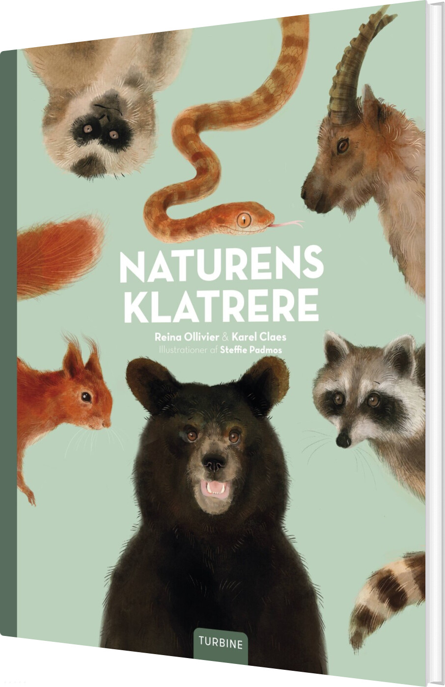 Naturens Klatrere - Reina Ollivier - Bog