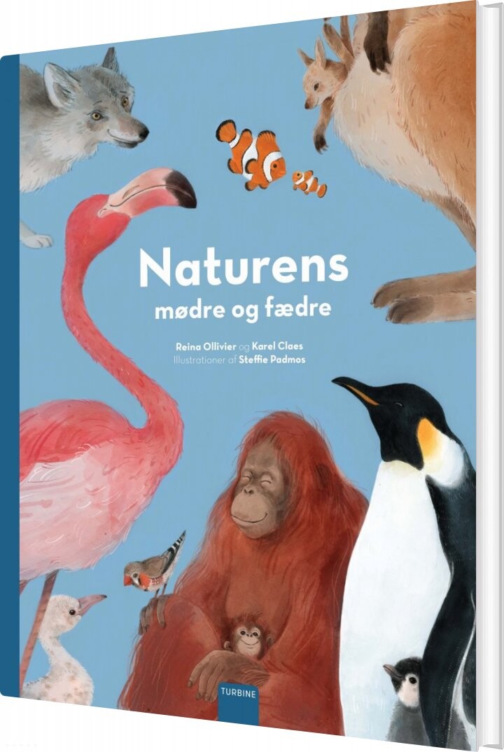 Naturens Mødre Og Fædre - Karel Claes - Bog