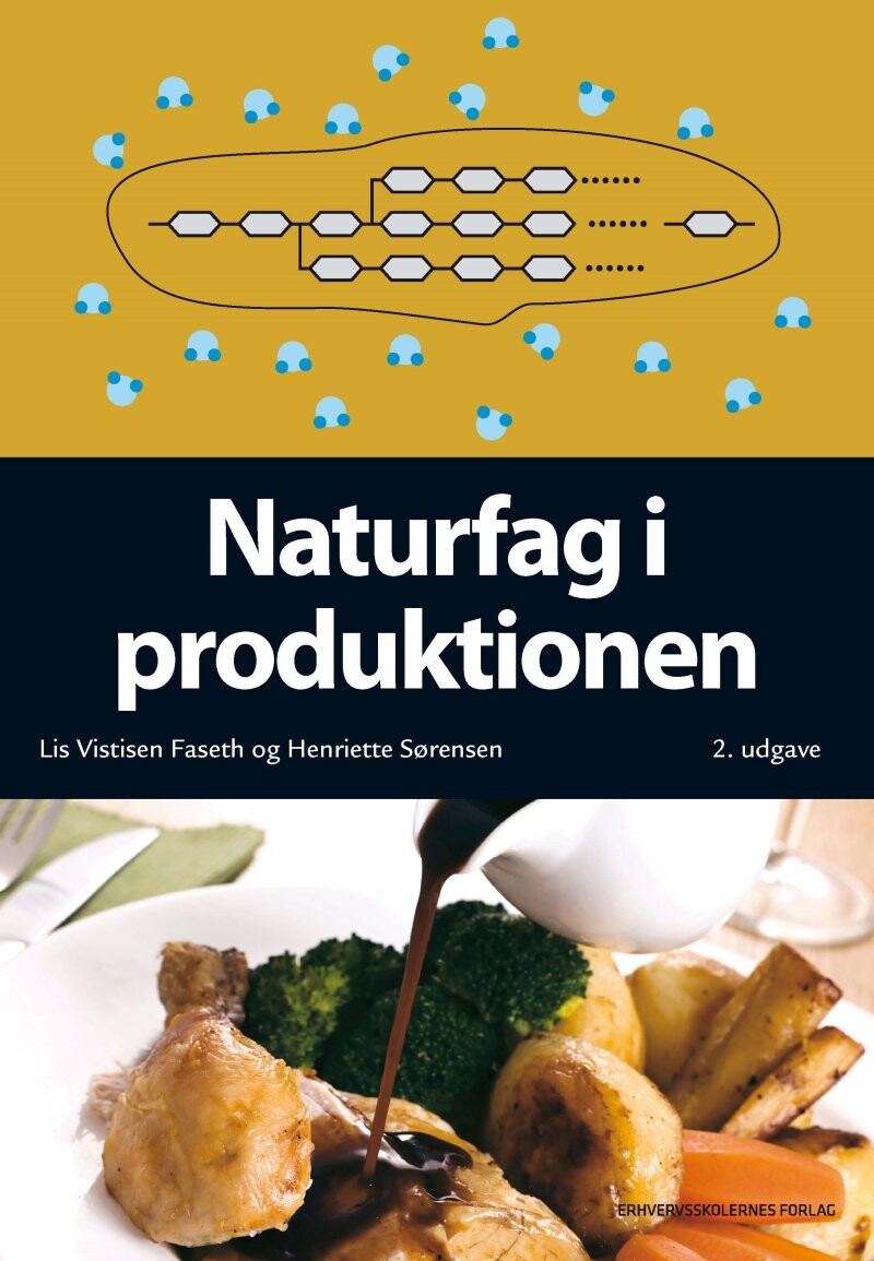 Naturfag I Produktionen - Henriette Sørensen - Bog