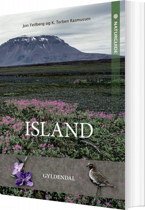 Billede af Naturguide Island - Jon Feilberg - Bog