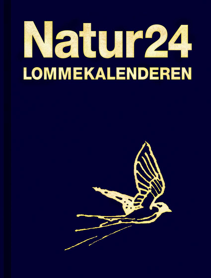 Billede af Naturlommekalenderen 2024 hos Gucca.dk
