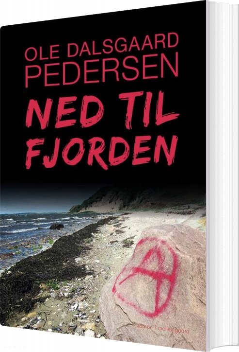 Ned Til Fjorden - Ole Dalsgaard Pedersen - Bog