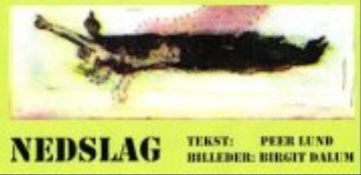 Nedslag - Peer Lund - Bog