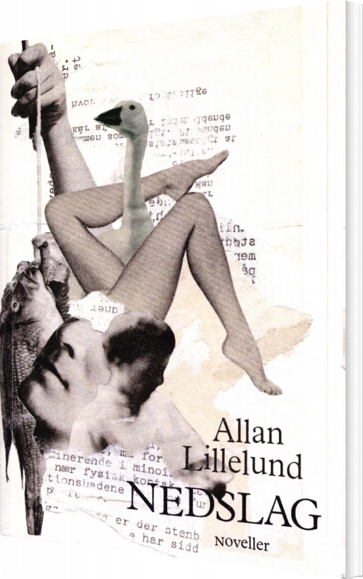 Billede af Nedslag - Allan Lillelund - Bog