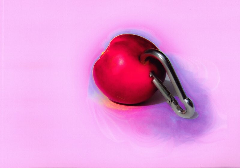 Never Run Faster Than Your Guardian Angel Can Fly - Fryd Frydendahl - Bog