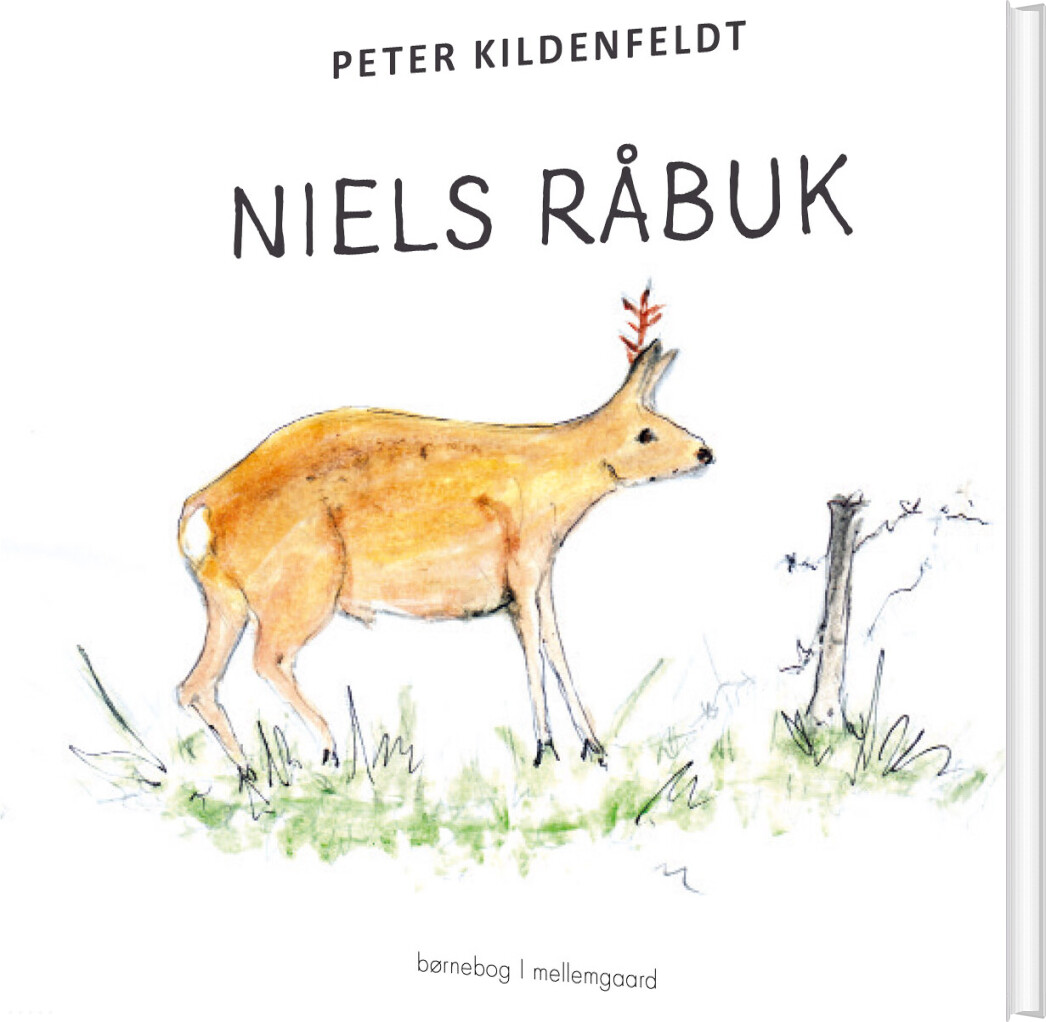 Niels Råbuk - Peter Kildenfeldt - Bog