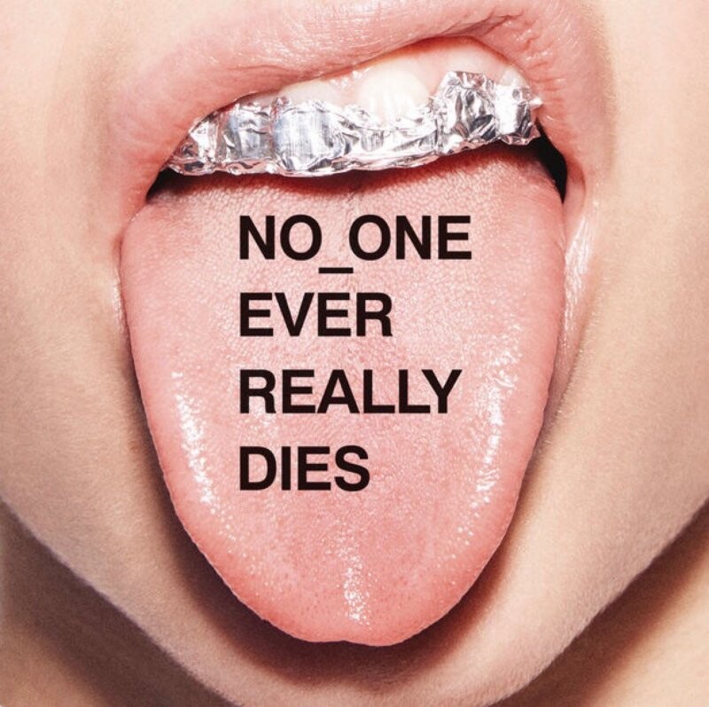 N.e.r.d - No One Ever Really Dies - CD